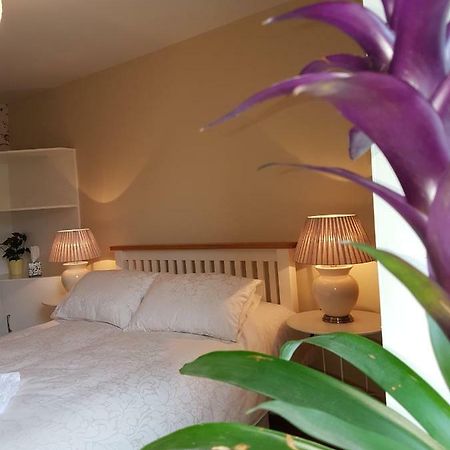 Apartamento Glenbower House Cork Exterior foto