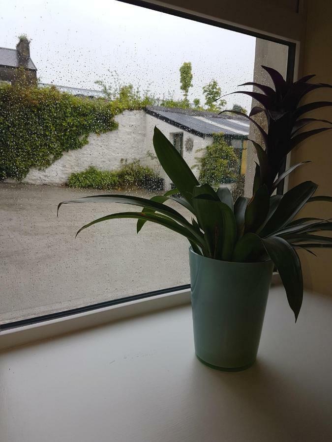 Apartamento Glenbower House Cork Exterior foto