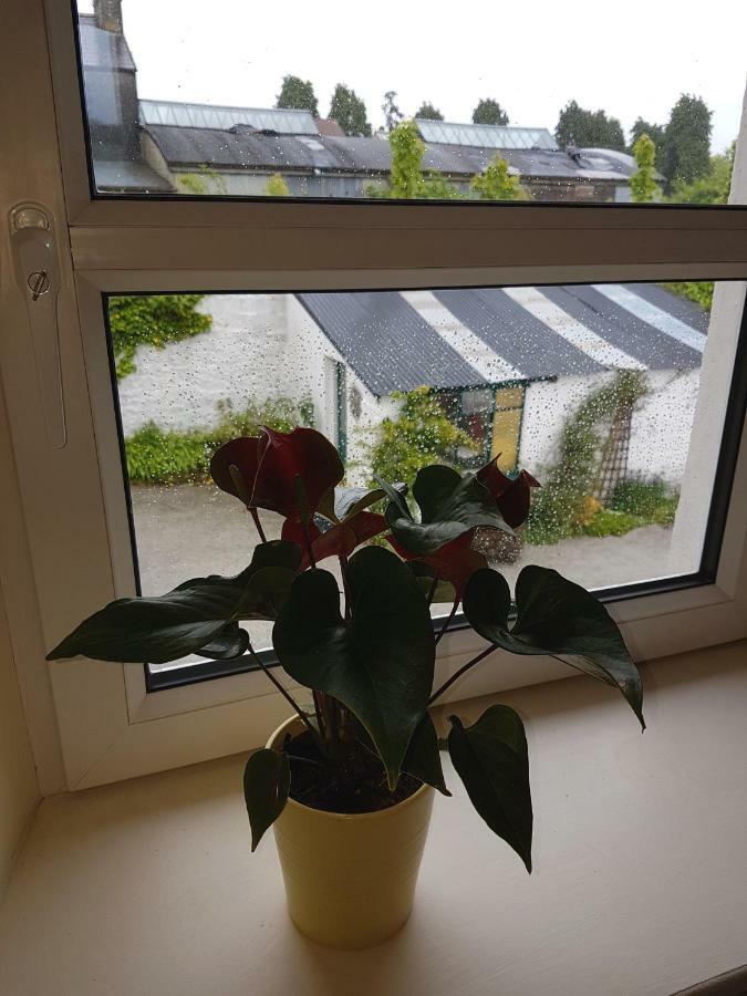 Apartamento Glenbower House Cork Exterior foto
